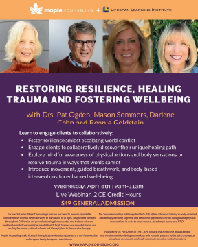 Attachment Restoring Resilience Flier.png